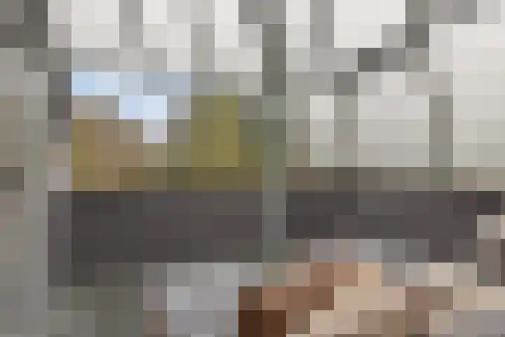 Slenk 73 Gemert thumbnail 20