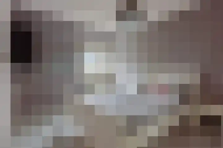 Slenk 73 Gemert thumbnail 21