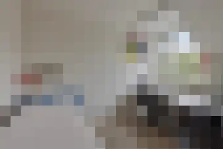 Slenk 73 Gemert thumbnail 22