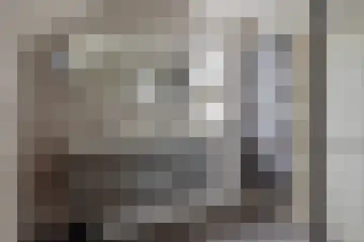 Slenk 73 Gemert thumbnail 24