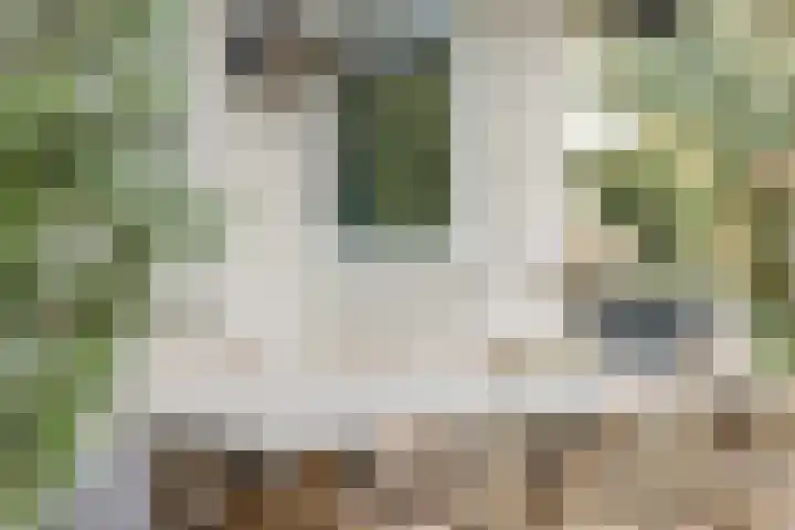 Slenk 73 Gemert thumbnail 26