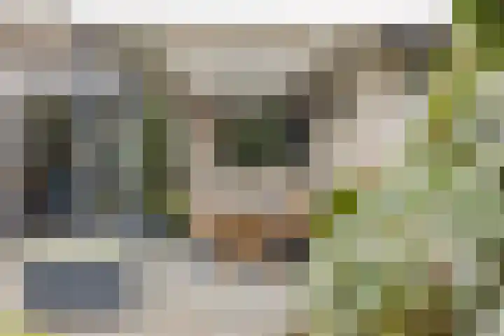 Slenk 73 Gemert thumbnail 27