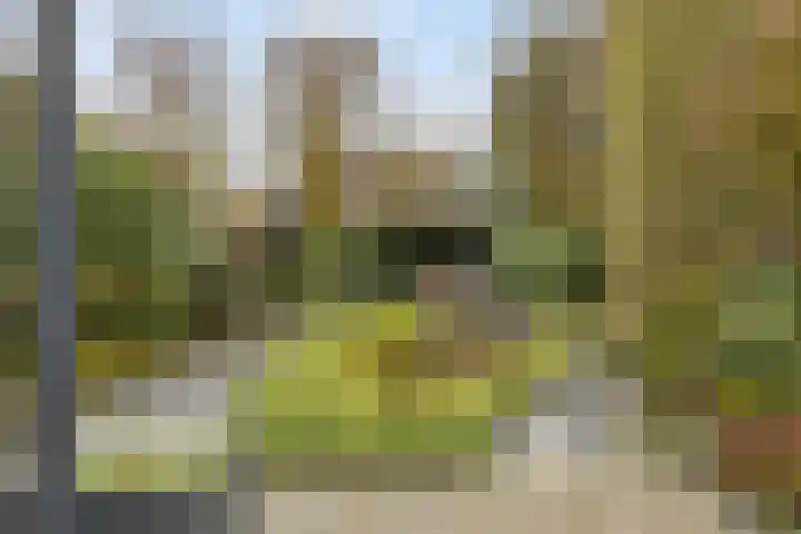 Slenk 73 Gemert thumbnail 28