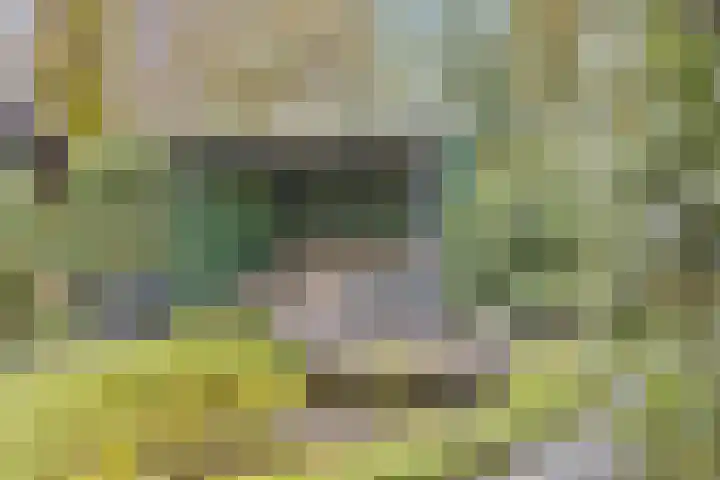Slenk 73 Gemert thumbnail 29