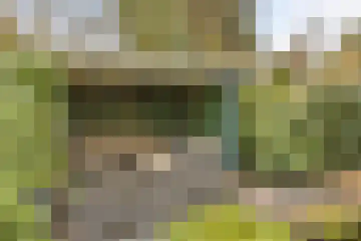 Slenk 73 Gemert thumbnail 30