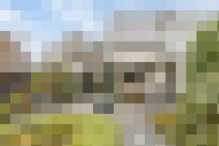 Slenk 73 Gemert thumbnail 32
