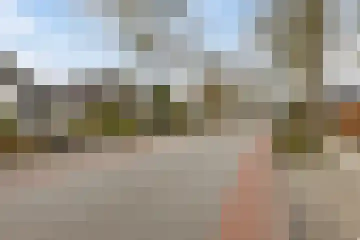 Slenk 73 Gemert thumbnail 38