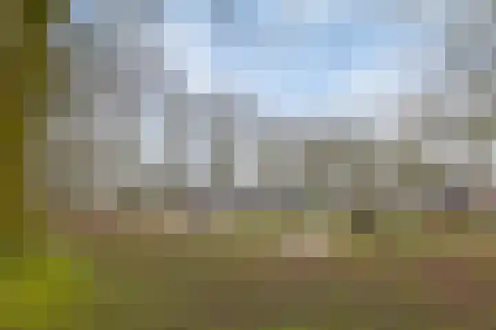 Slenk 73 Gemert thumbnail 40