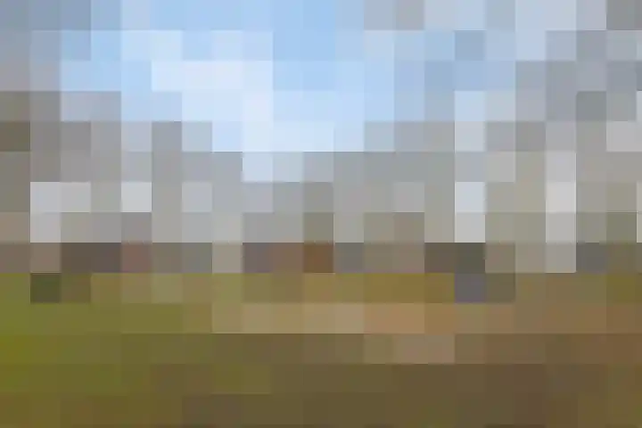 Slenk 73 Gemert thumbnail 41