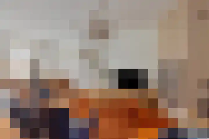 Slenk 73 Gemert thumbnail 5