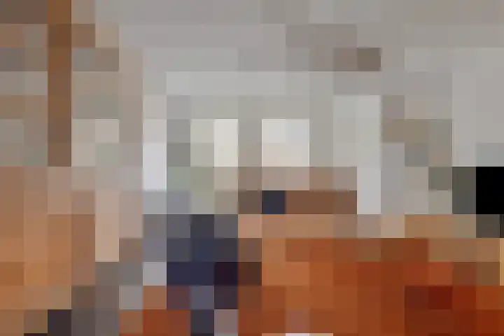 Slenk 73 Gemert thumbnail 6