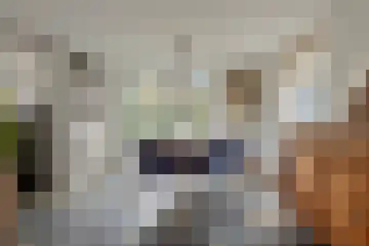 Slenk 73 Gemert thumbnail 8