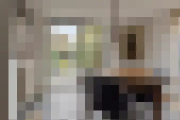 Slenk 73 Gemert thumbnail 9