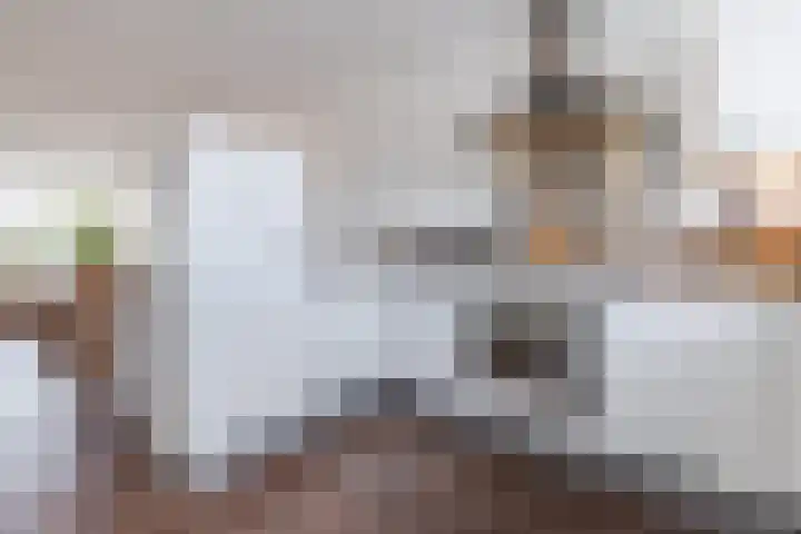 Slenk 9 Gemert thumbnail 12