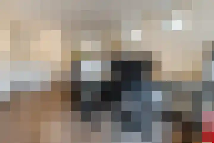 Slenk 9 Gemert thumbnail 23