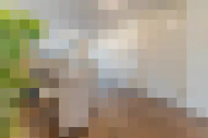 Slenk 9 Gemert thumbnail 24