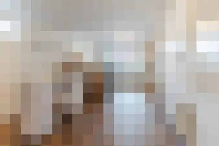 Slenk 9 Gemert thumbnail 25
