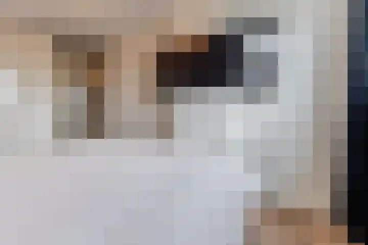 Slenk 9 Gemert thumbnail 29