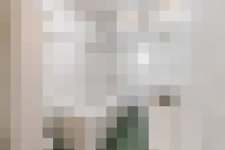 Slenk 9 Gemert thumbnail 32
