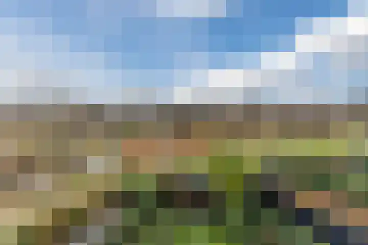 Slenk 9 Gemert thumbnail 39