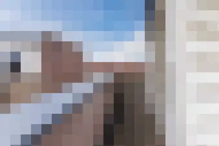 Slenk 9 Gemert thumbnail 41