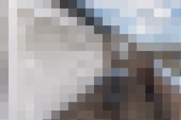 Slenk 9 Gemert thumbnail 42