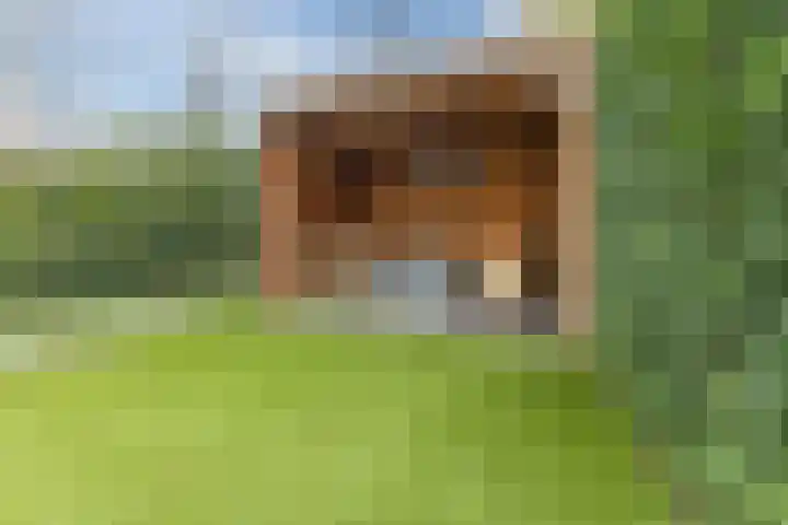 Slenk 9 Gemert thumbnail 46