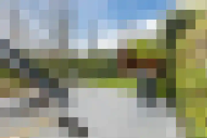 Slenk 9 Gemert thumbnail 50
