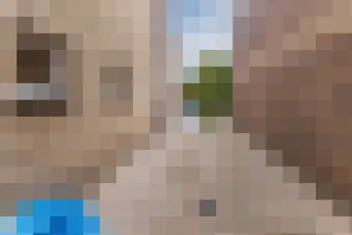 Slenk 9 Gemert thumbnail 51
