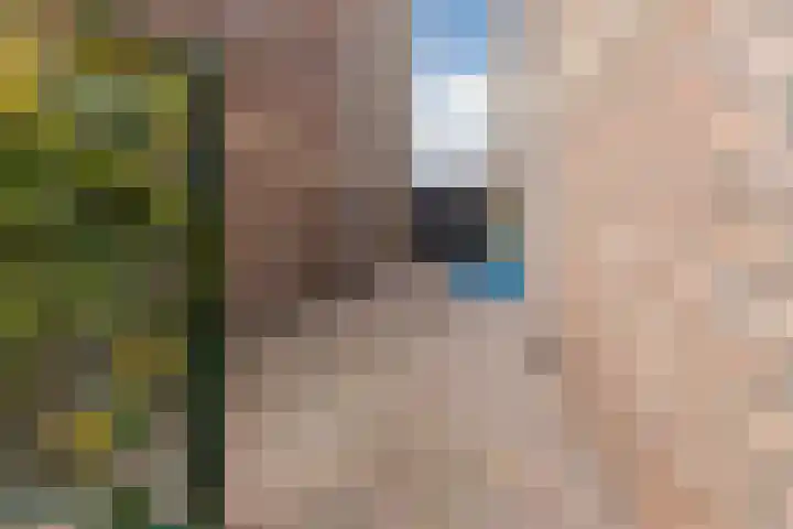 Slenk 9 Gemert thumbnail 52