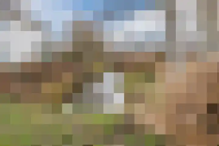 Slenk 9 Gemert thumbnail 56