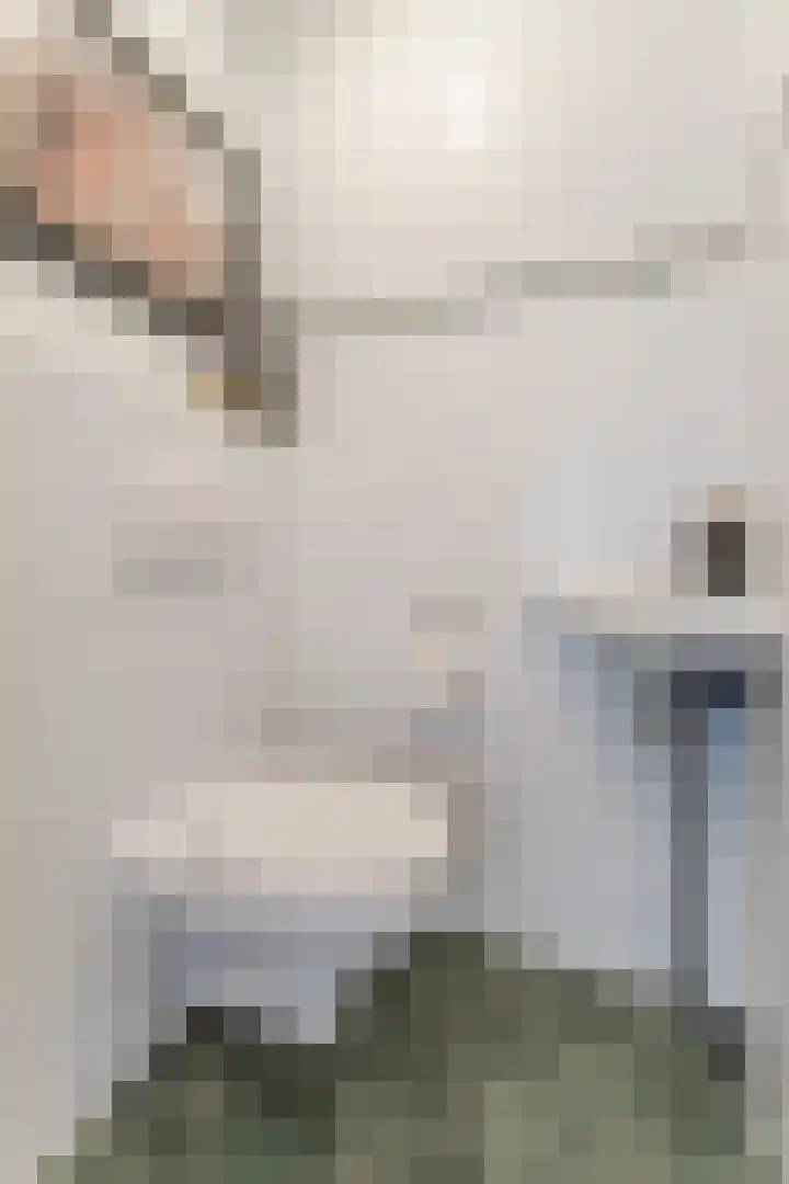 Slenk 9 Gemert thumbnail 9
