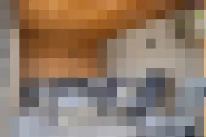 Slenkstraat 12 G IJsselmuiden thumbnail 42