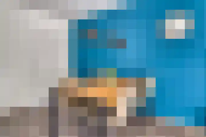 Slenkstraat 17 Purmerend thumbnail 10