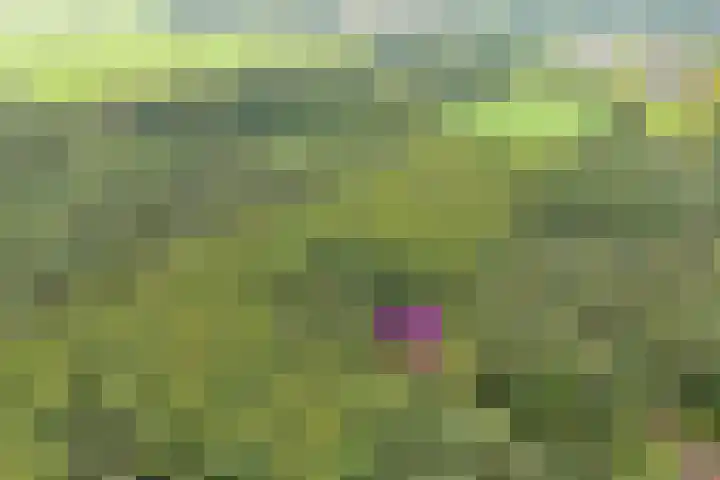 Slennebroekerweg 7 Dalfsen thumbnail 25