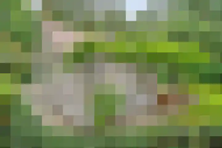 Slennebroekerweg 7 Dalfsen thumbnail 27
