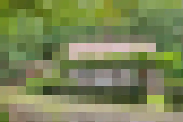 Slennebroekerweg 7 Dalfsen thumbnail 31