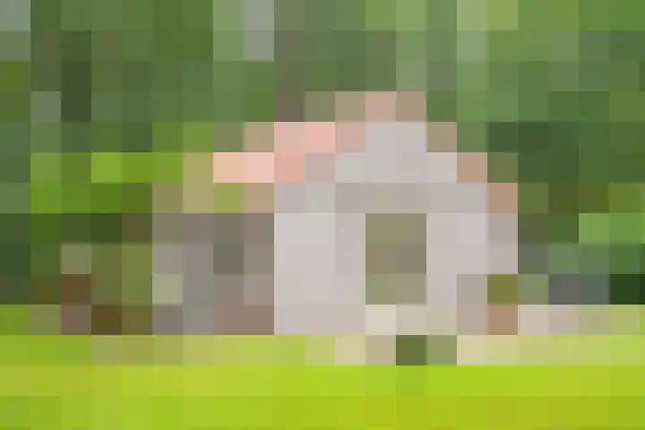 Slennebroekerweg 7 Dalfsen thumbnail 33