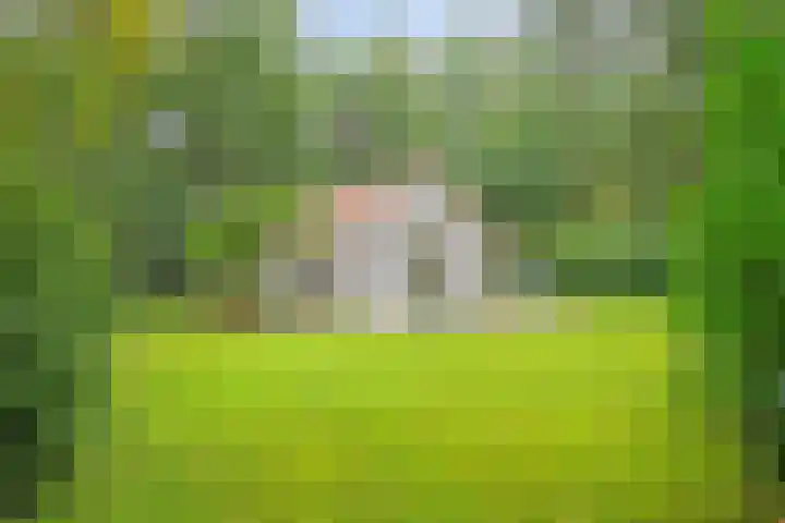 Slennebroekerweg 7 Dalfsen thumbnail 34