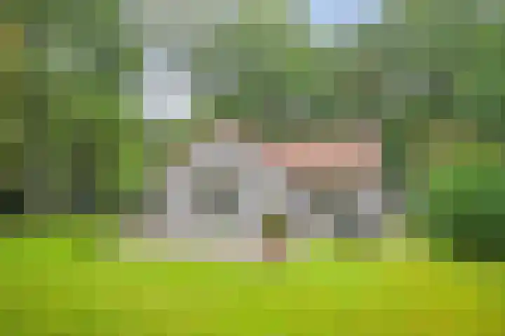 Slennebroekerweg 7 Dalfsen thumbnail 35