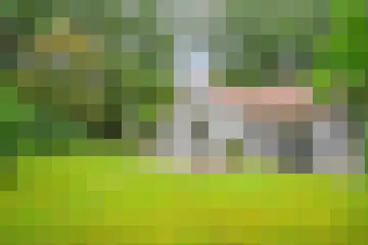 Slennebroekerweg 7 Dalfsen thumbnail 36