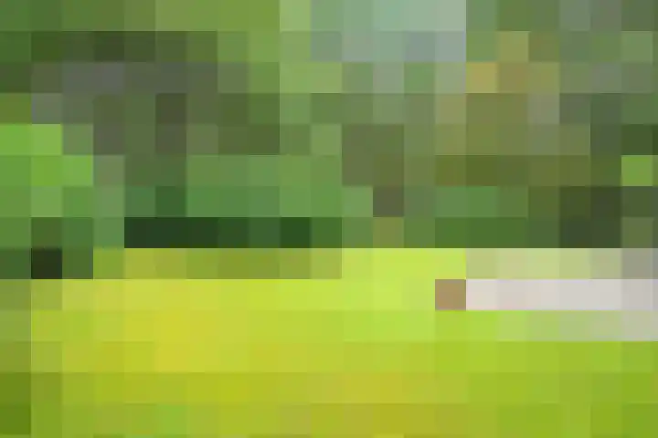 Slennebroekerweg 7 Dalfsen thumbnail 37