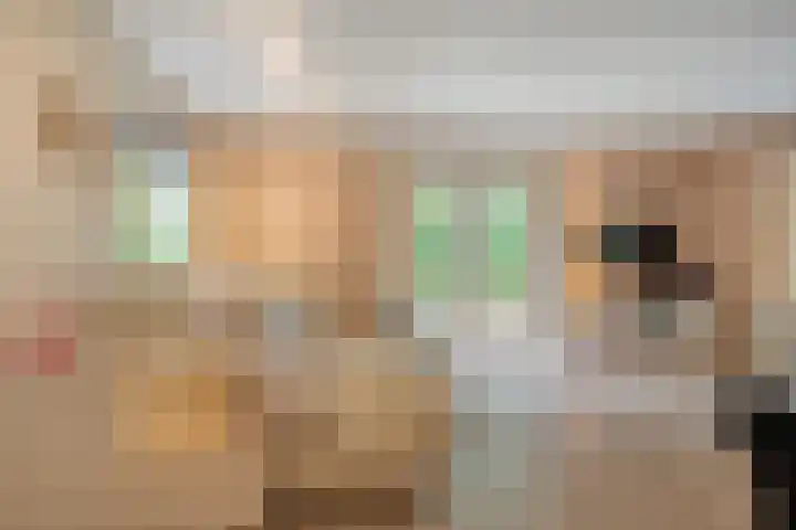 Slennebroekerweg 7 Dalfsen thumbnail 4