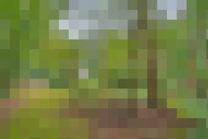 Slennebroekerweg 7 Dalfsen thumbnail 42