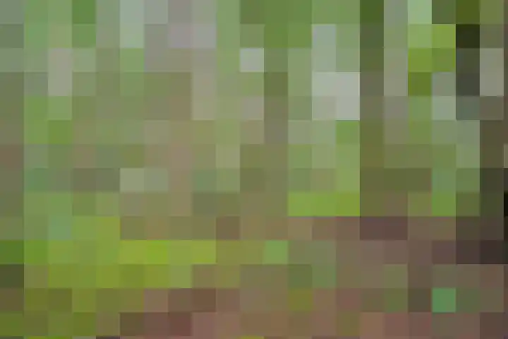Slennebroekerweg 7 Dalfsen thumbnail 43