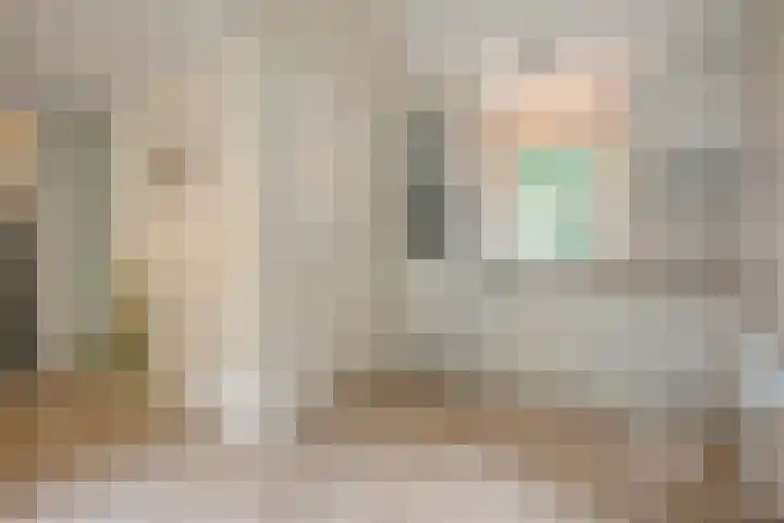 Slennebroekerweg 7 Dalfsen thumbnail 8