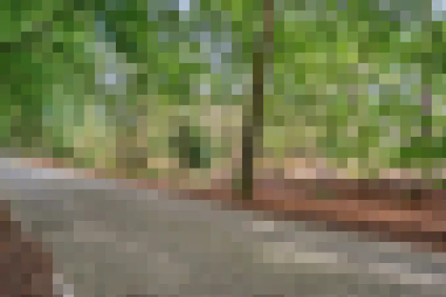 Slennebroekerweg 9 A Dalfsen thumbnail 32