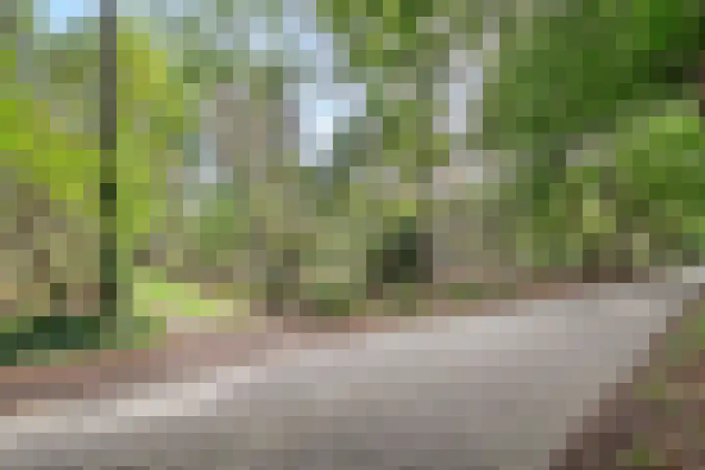 Slennebroekerweg 9 A Dalfsen thumbnail 33