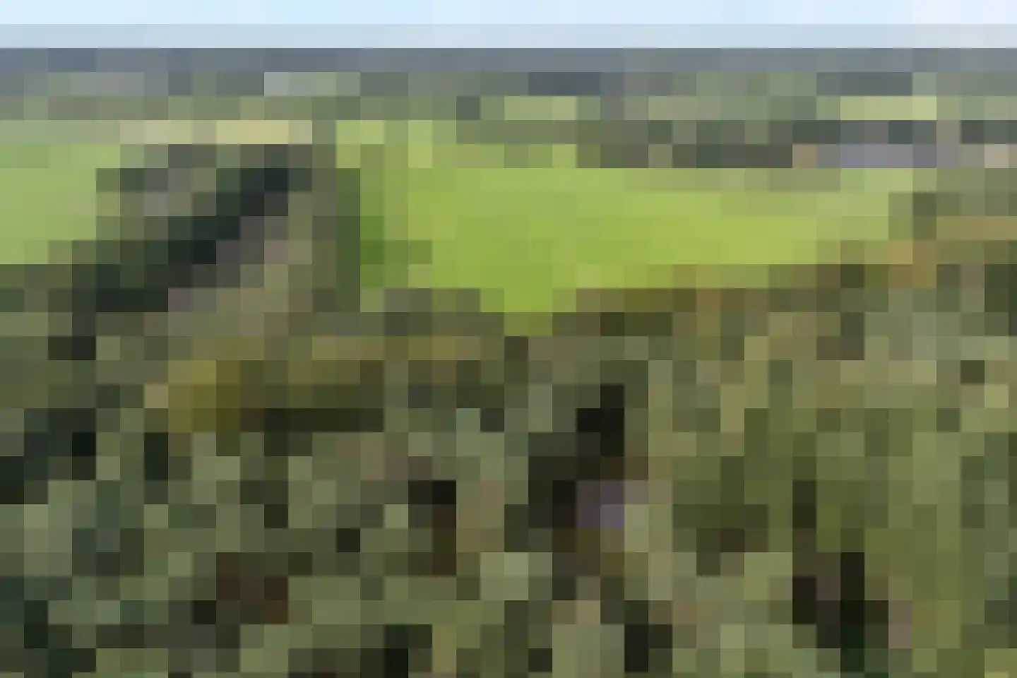 Slennebroekerweg 9 A Dalfsen thumbnail 35