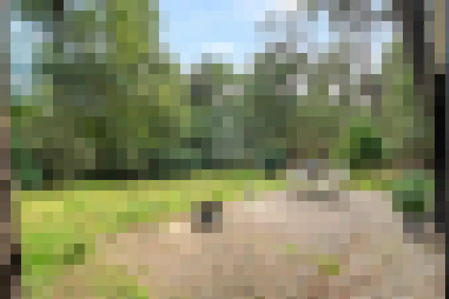 Slennebroekerweg 9 A Dalfsen thumbnail 4